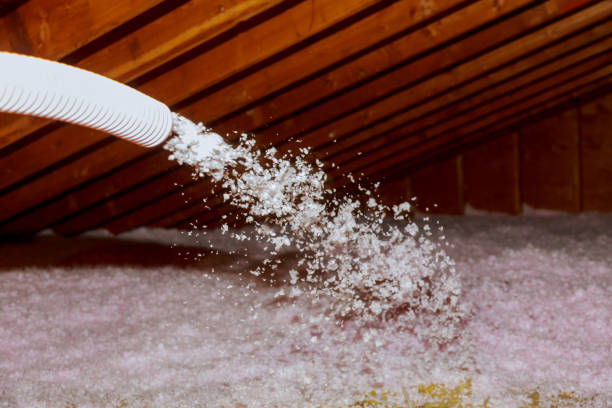 Best Residential Insulation in Centerville, MN